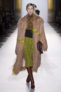 dries18