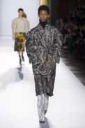 dries2