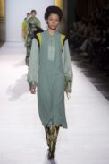 dries20
