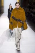 dries5