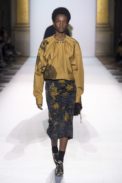 dries7