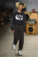 Cotton Project