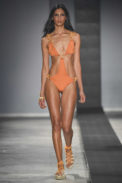 Top 5 - Borana