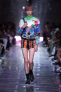 31_pradauomoss19
