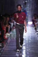 37_pradauomoss19