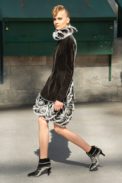 _cha0557