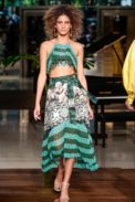 desfile-agua-de-coco_0159