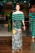 desfile-agua-de-coco_0172