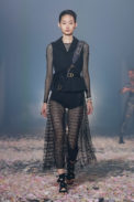Dior Fashion Show Ready to Wear Collection Spring Summer 2019 in Paris