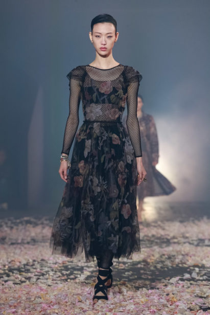Dior Fashion Show Ready to Wear Collection Spring Summer 2019 in Paris