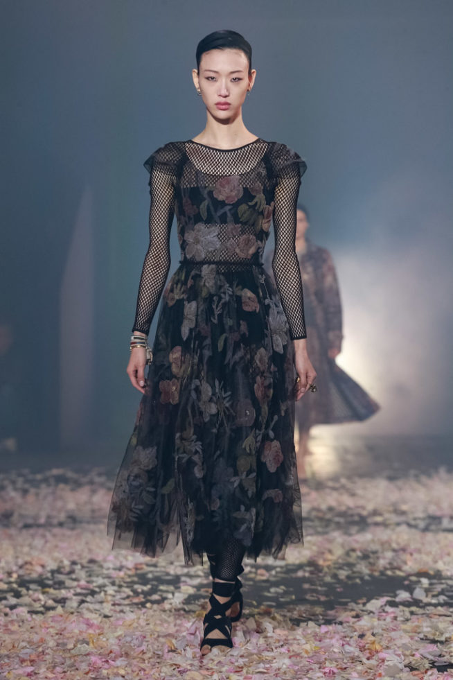 Dior Fashion Show Ready to Wear Collection Spring Summer 2019 in Paris