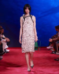 look11_gxg2252