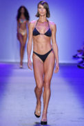 asla_n47_0060