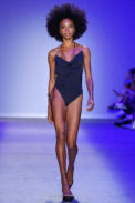 asla_n47_0066
