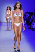 asla_n47_0105