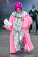 rdog_i20_008