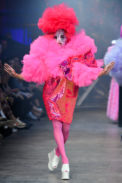 rdog_i20_045