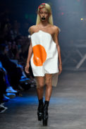 rdog_i20_049