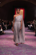 dior_haute-couture_spring-summer_2020_look_40