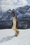00002-miu-miu-fall-21-rtw